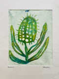 Banksia #2  - Acrylic and Ink on Paper