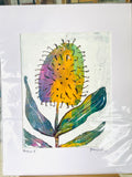 Banksia #3 - Acrylic and Ink on Paper
