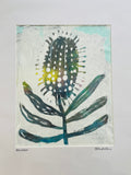 Banksia- Acrylic and Ink on Paper