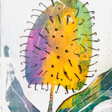 Banksia #3 - Acrylic and Ink on Paper